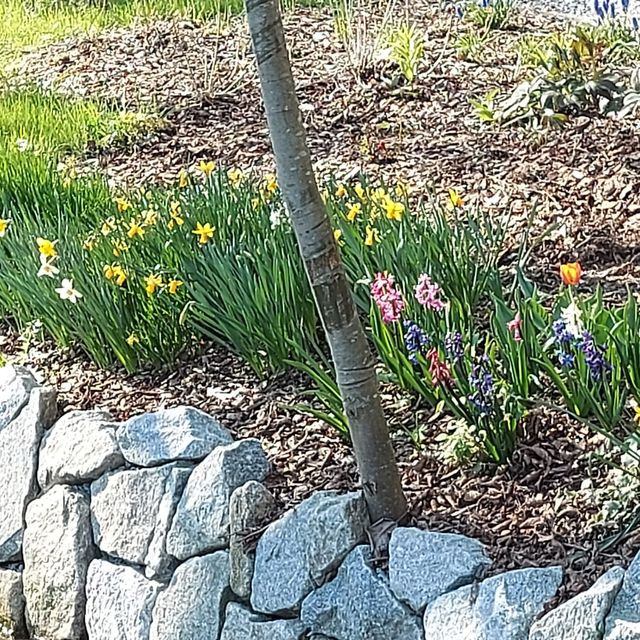 Gartenpflege & Gartengestaltung Brons in Vöcklabruck