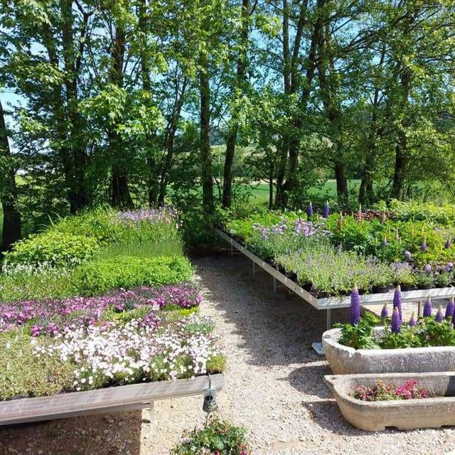 Gartenpflege & Gartengestaltung Brons in Vöcklabruck