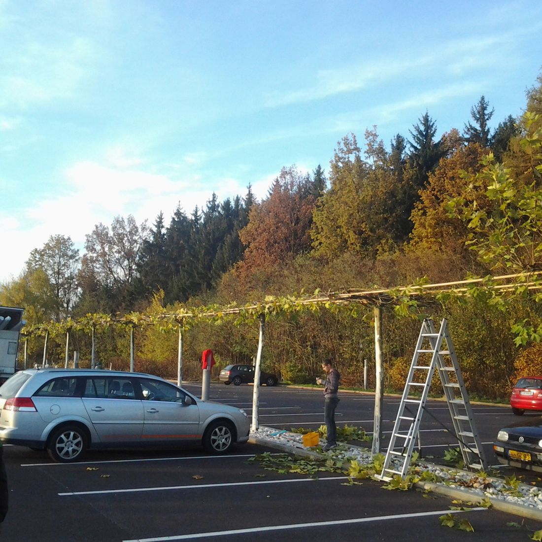 Gartengestaltung Gärtnerei Brons Vöcklabruck