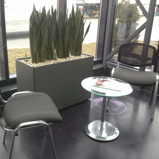 Indoor Begrünung