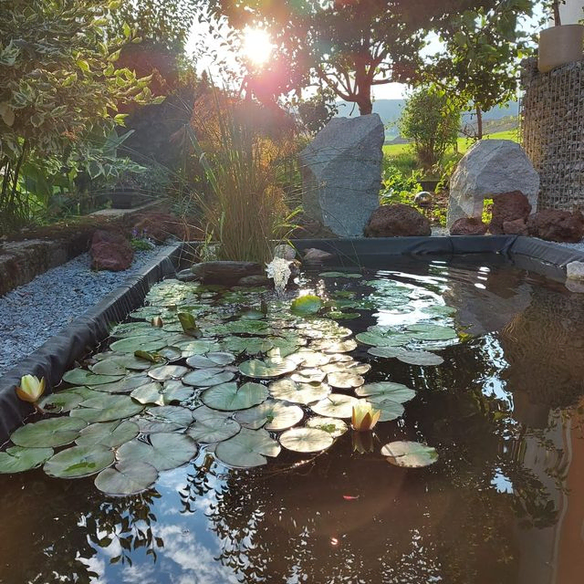 Gartenpflege & Gartengestaltung Brons in Vöcklabruck