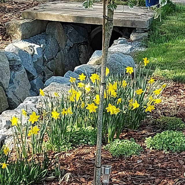 Gartenpflege & Gartengestaltung Brons in Vöcklabruck