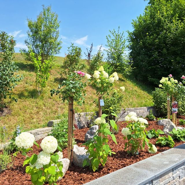 Gartenpflege & Gartengestaltung Brons in Vöcklabruck