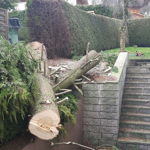 Gartengestaltung Gärtnerei Brons Vöcklabruck