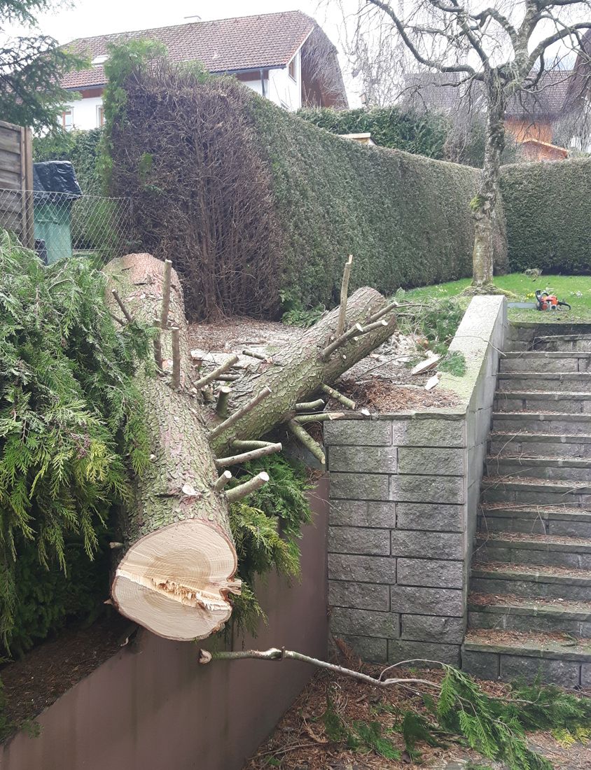 Gartengestaltung Gärtnerei Brons Vöcklabruck